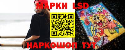шишки Будённовск
