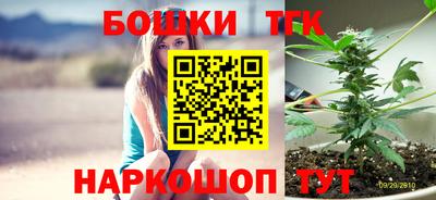 шишки Будённовск