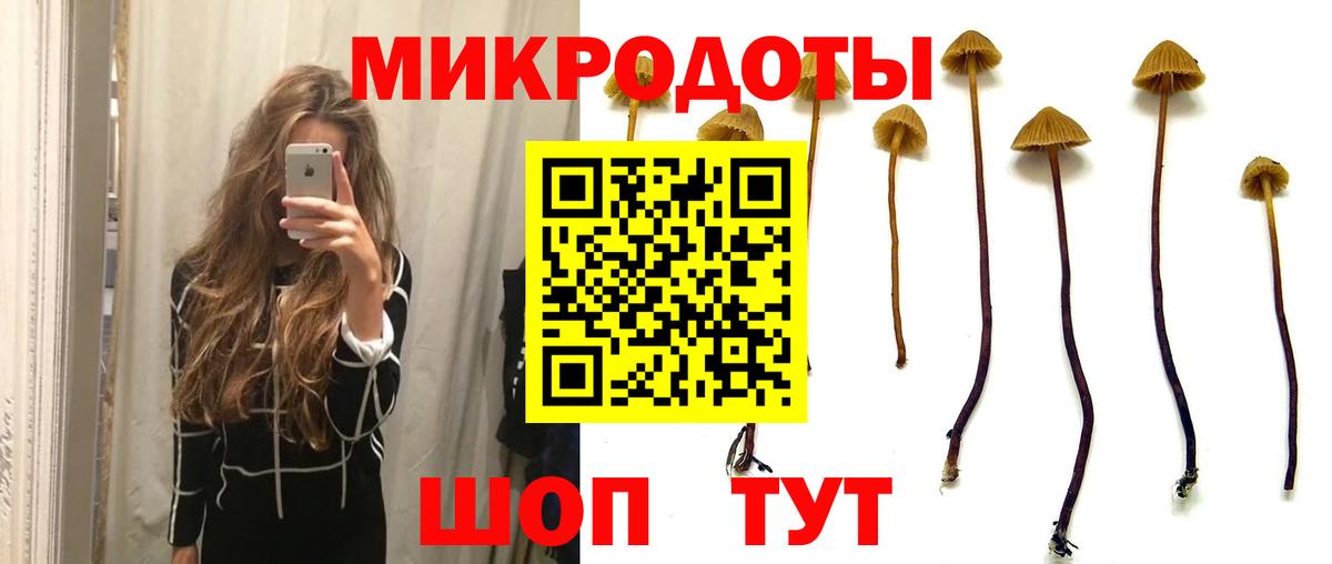 Псилоцибиновые грибы Magic Shrooms  Галлюциногенные грибы Psilocybine cubensis  Вход с VPN  Рузаевка 